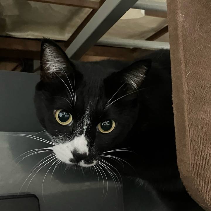 F6c0c85b 26a7 4a7b b700 ccd14a293228 1732171140338