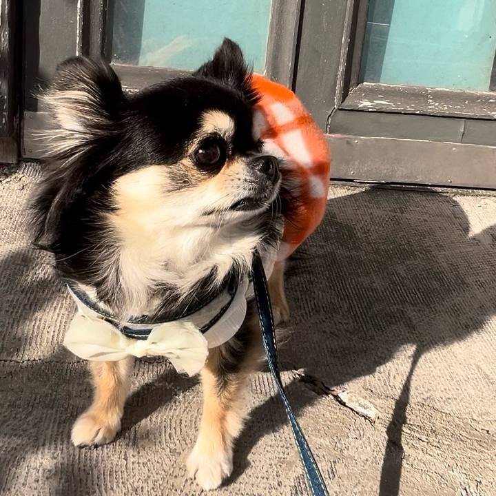 F6c0dba0 d03c 4c32 9d01 a55f8108422a 1705905680468