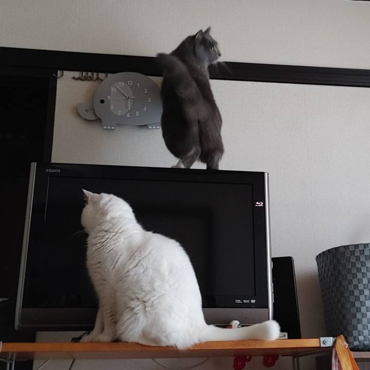 F6c0ee6b c2a5 48e5 b13d 9e0fb571f1c9 1630589403016