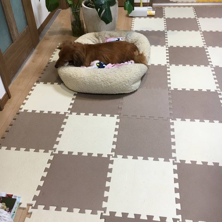 F6c1465d 72dd 4166 8d65 c4330b854e07 1554210958837