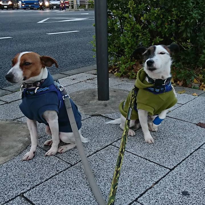 F6c14d40 4722 40ac 8a09 99442604227e 1545083977067