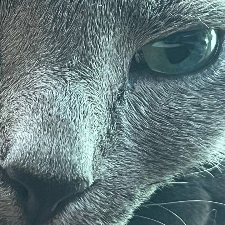 F6c153b5 1a5f 4dc1 bd52 5c581c1e43bc 1691801715569