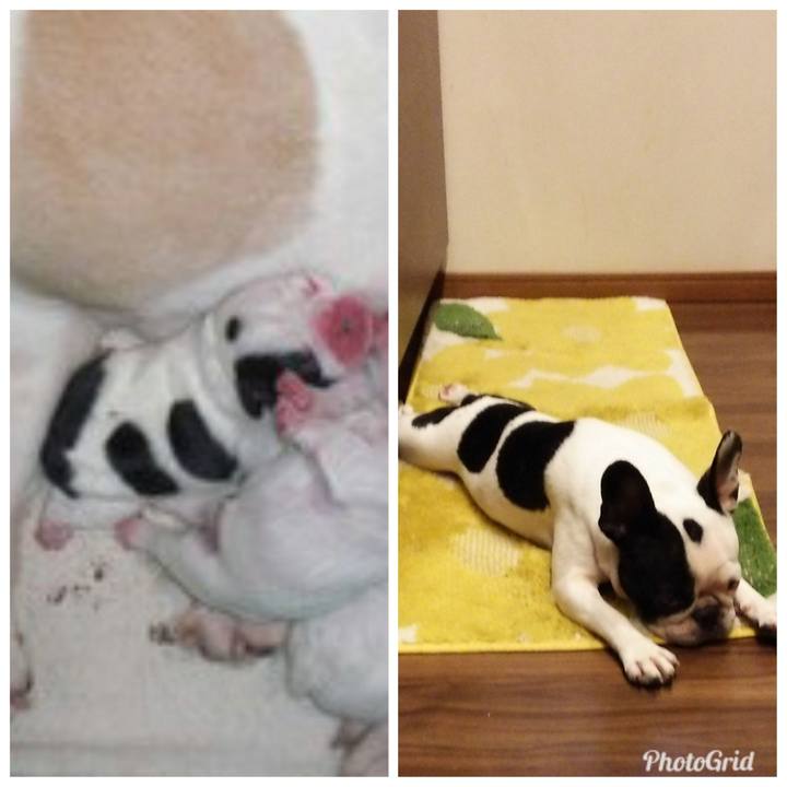 F6c17214 97b5 4e69 bd93 b28be432292c 1560346140085