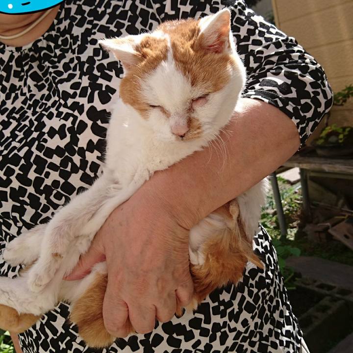 F6c17504 bd96 4d21 97b6 394a53b6ab88 1600745890713