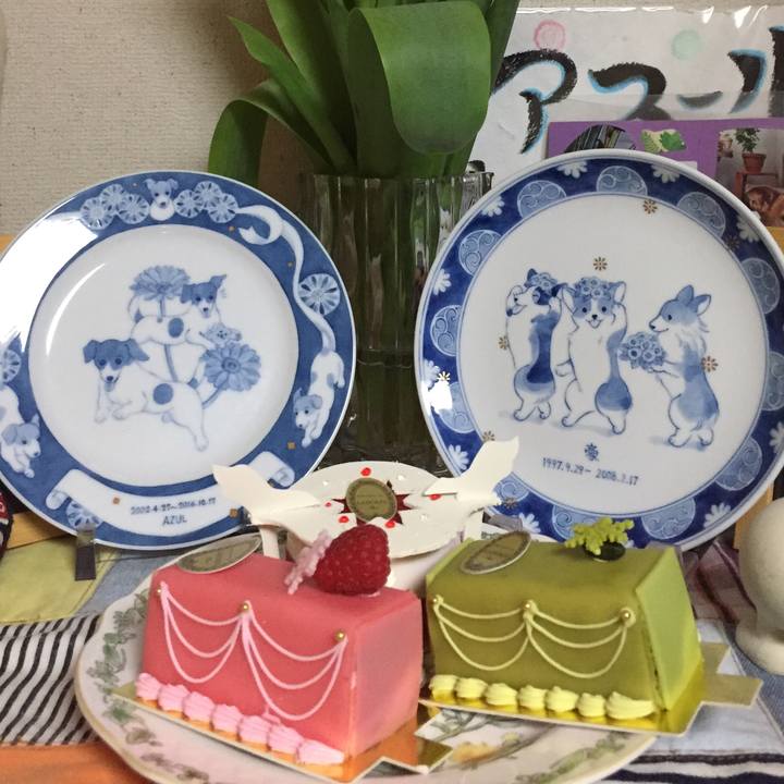 F6c209c4 0094 4a0e a334 7339b5cc3715 1545567457734