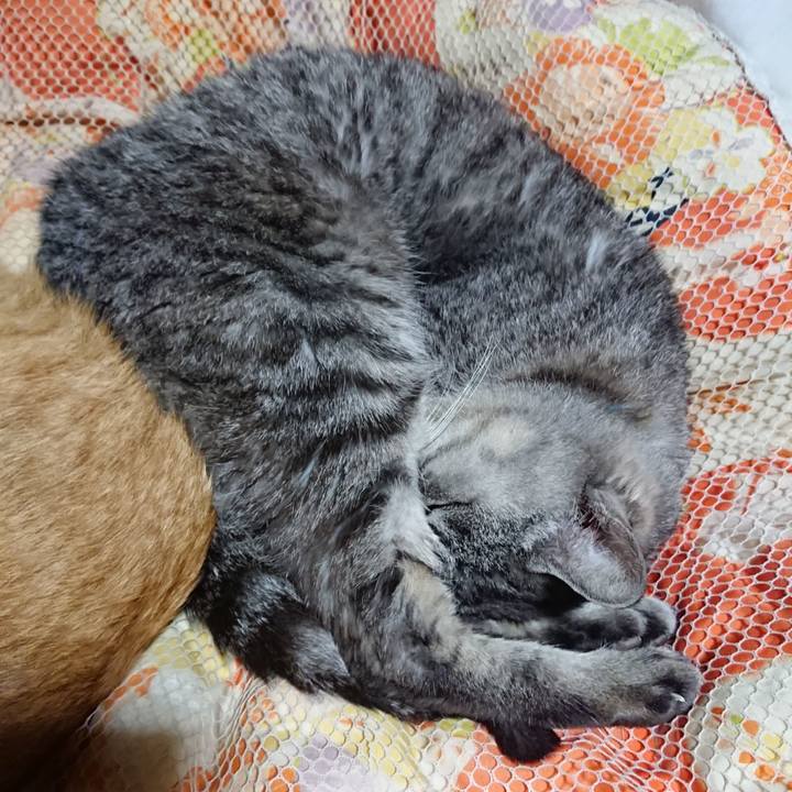 F6c21a98 e2ff 4865 9743 0f648951ab8e 1572354170820