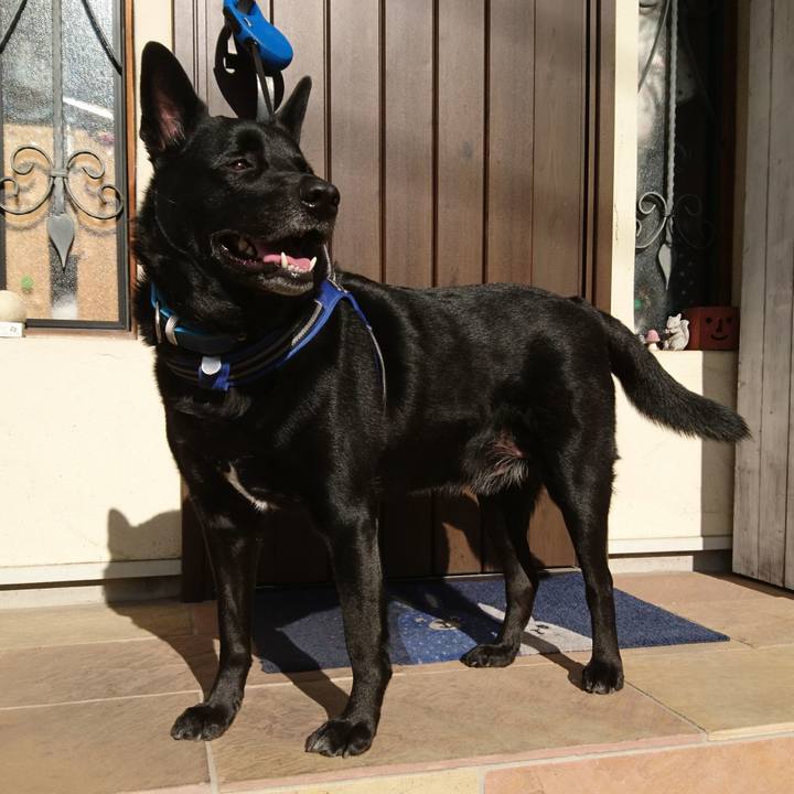 F6c21efd b0b0 4be0 8d87 2d5369f877d1 1640836121603