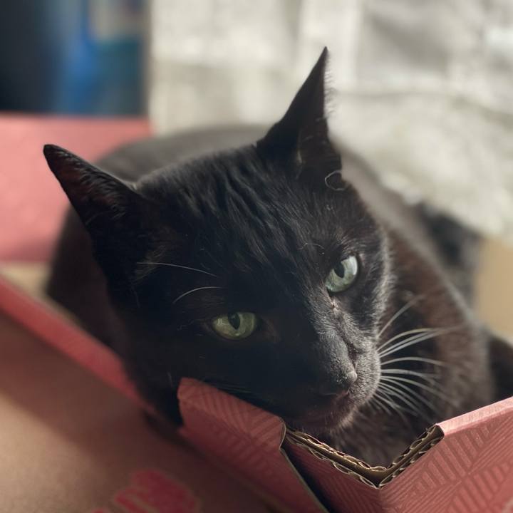 F6c235ac e56b 41f2 a056 d7f8337bb63e 1626313918657