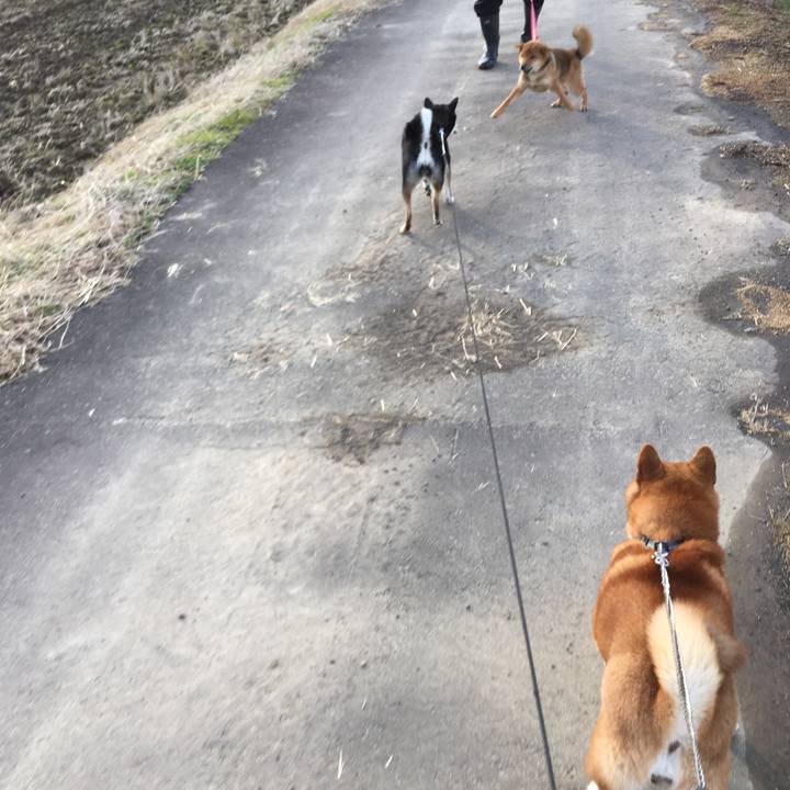 F6c23b40 3b62 4da2 a402 dcdcb91a7806 1514011413834