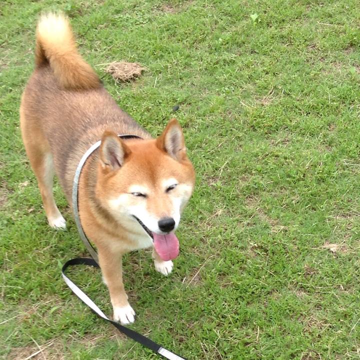 F6c24111 2e0e 4bdc 80d2 dbf86f883bf6 1528949354251