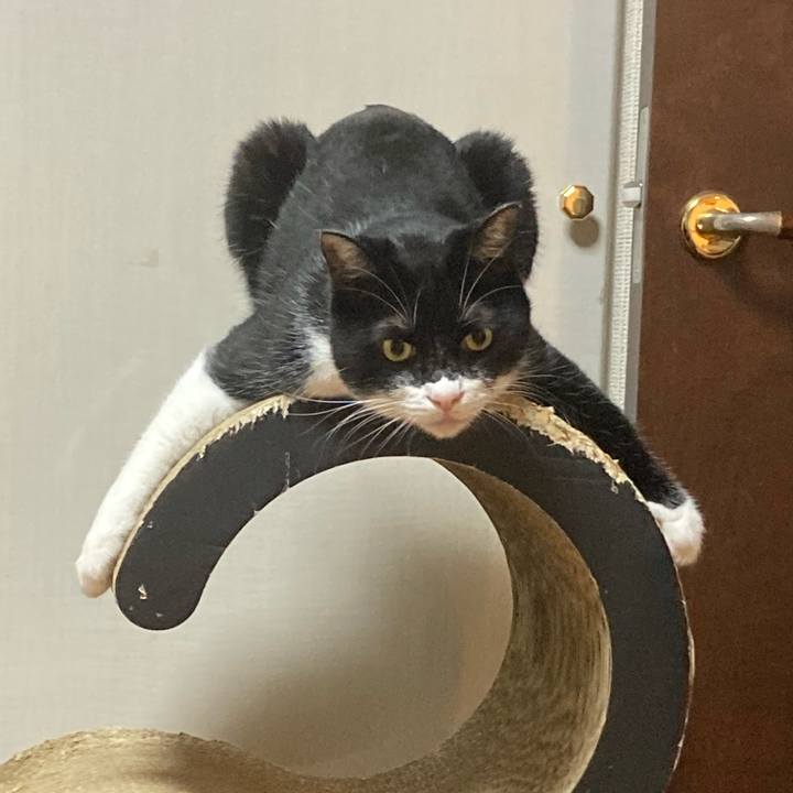 F6c24901 010d 4225 b7ec 5a12672745d6 1692335882533