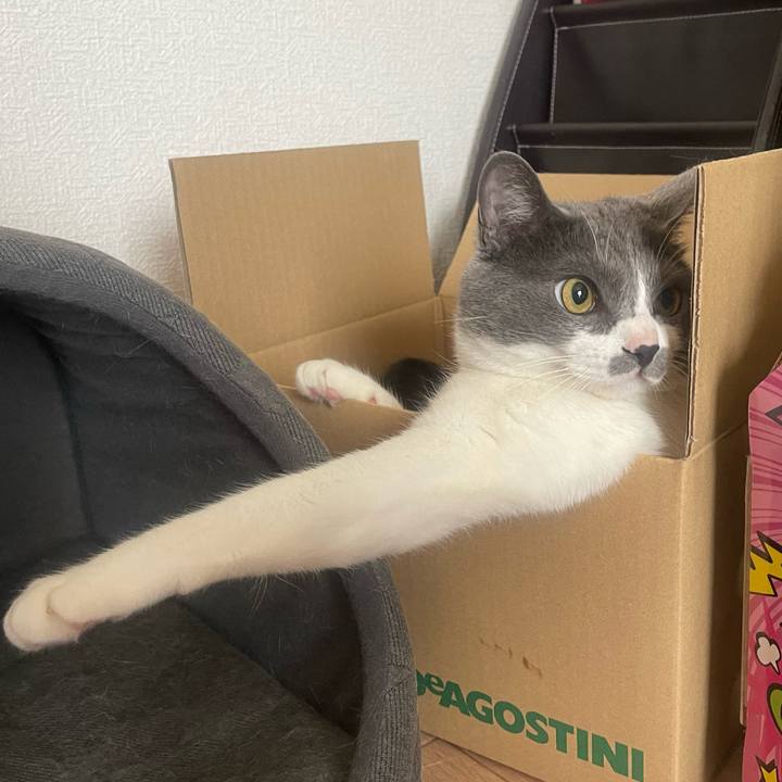 F6c2622f 78c3 4198 8975 42fdf5666bb3 1651283309355