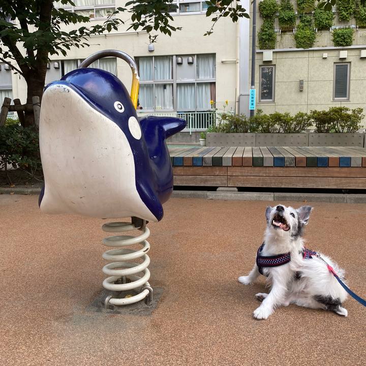 F6c2aa3b 867e 4719 847a e9ae136e7527 1597669557376