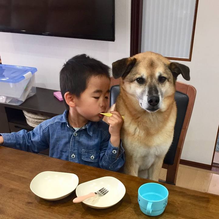 F6c2cae8 7eb5 485a abf7 ce6814bb7379 1556848167887