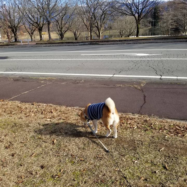 F6c301a3 8ee0 4c0b 8f91 b19802c742e4 1638332864241