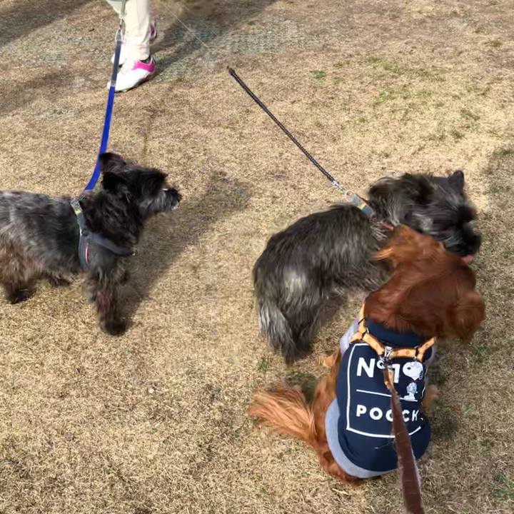 F6c309a0 19c3 4527 b3d8 10af964b0baf 1648859086953