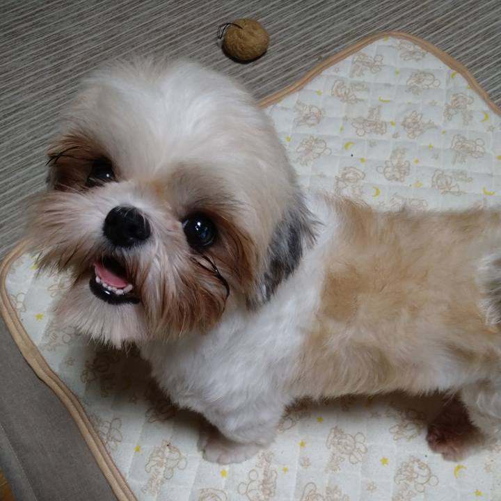 F6c313c5 a136 4bdb 9d38 ae93a28131fe 1602580796257