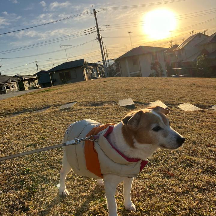 F6c32b16 cda9 4a43 a4f1 43295d689aa1 1702773129198