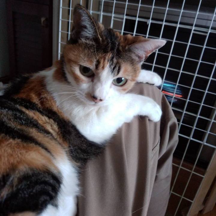 F6c33b35 16f8 4a06 8bbc 7e1ad4ad1578 1640342860164