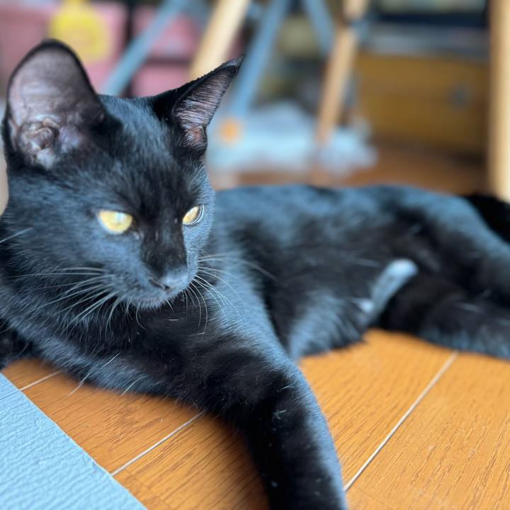 F6c3b92f 5d99 403c bd1b fd83bf4b2f5f 1728699707654