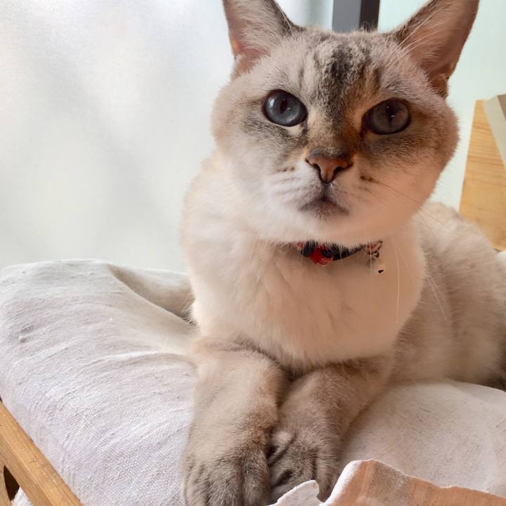 F6c406d9 b85e 46b3 b73f d8910e9dc17e 1567554414984