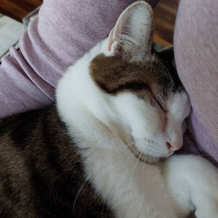 F6c423dd 072b 41c1 945a 521c40aec4c5 1647045797585