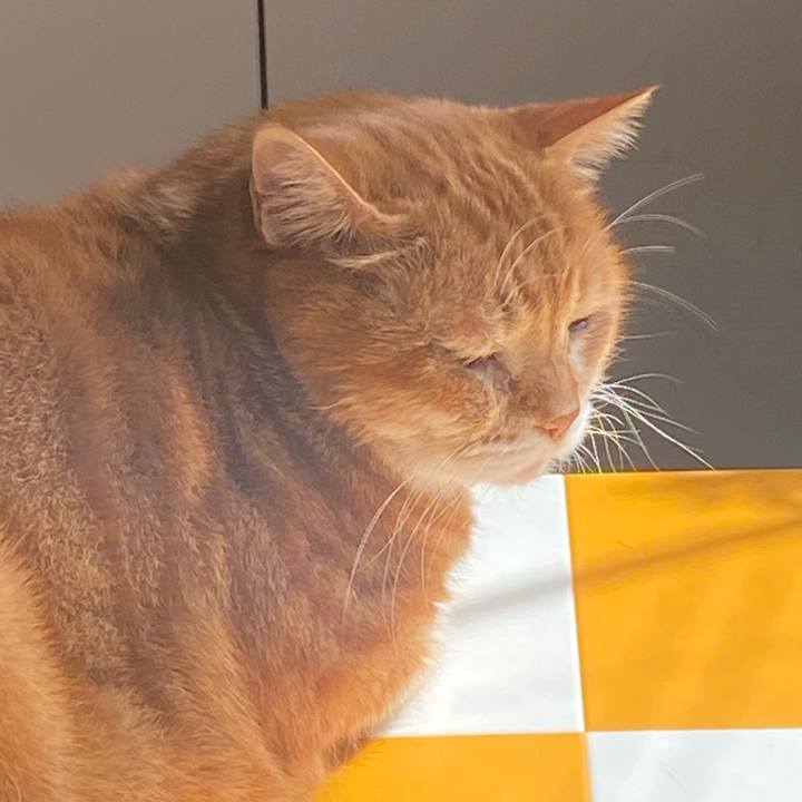 F6c44095 ff2b 4c2e b14f e211fa8763db 1696727816918