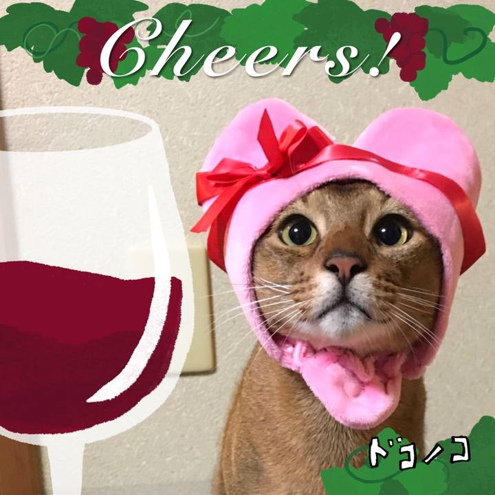 F6c4490b 703f 4685 8f52 32a3e357795c 1761554629832