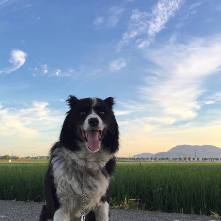 F6c45988 ab9b 4140 816b d17788aa0651 1534109587176