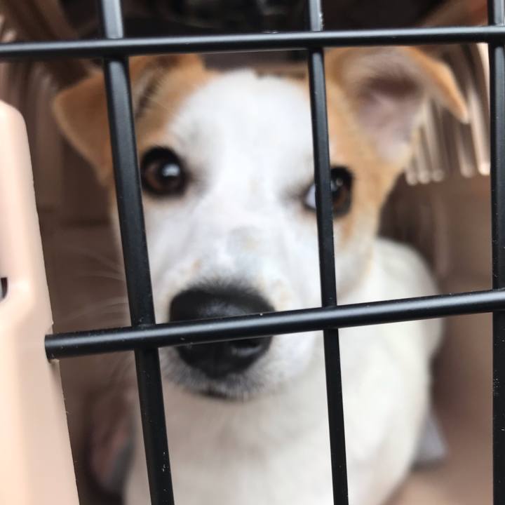 F6c476ee 89e9 4fac a7f4 44b673fb068f 1559278639831