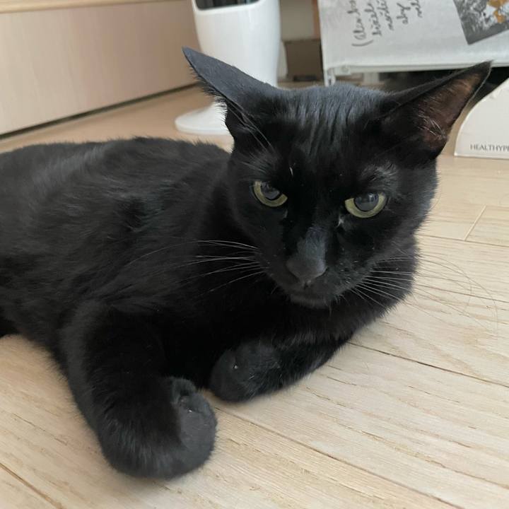 F6c486bd b16f 4fbd 9fc1 25a610400326 1756629188221