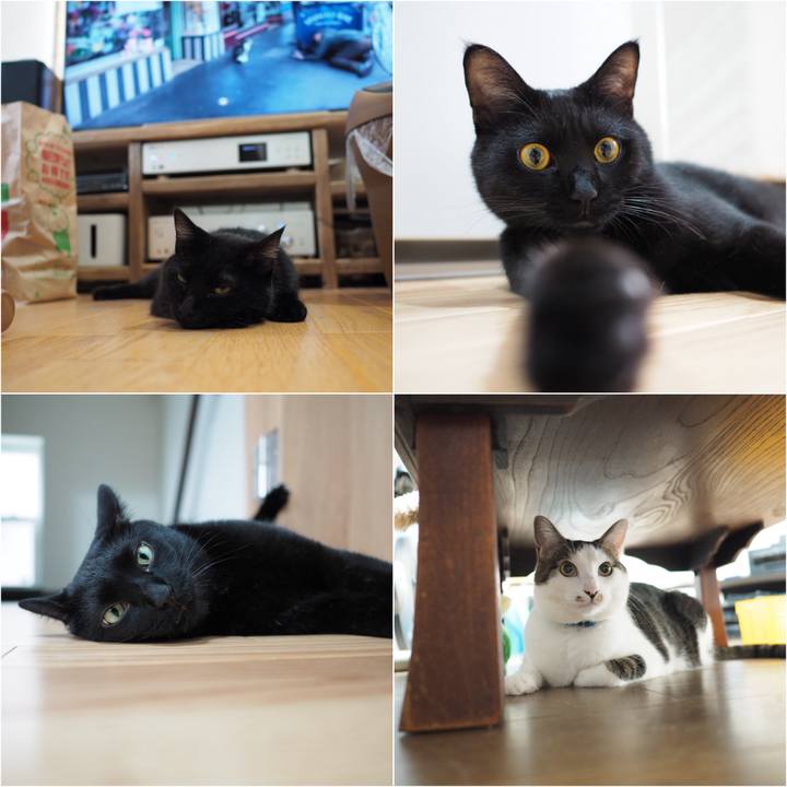 F6c4a52b 505c 4ba4 8324 419f455205cc 1535672124476