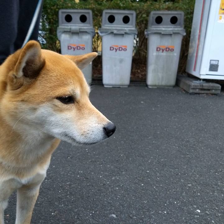 F6c4c1c3 532b 4c87 857b fb3398d02f84 1513422859383