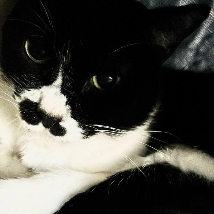 F6c4eb00 f613 4c2e b409 1f6d2b7acf85 1665292168211