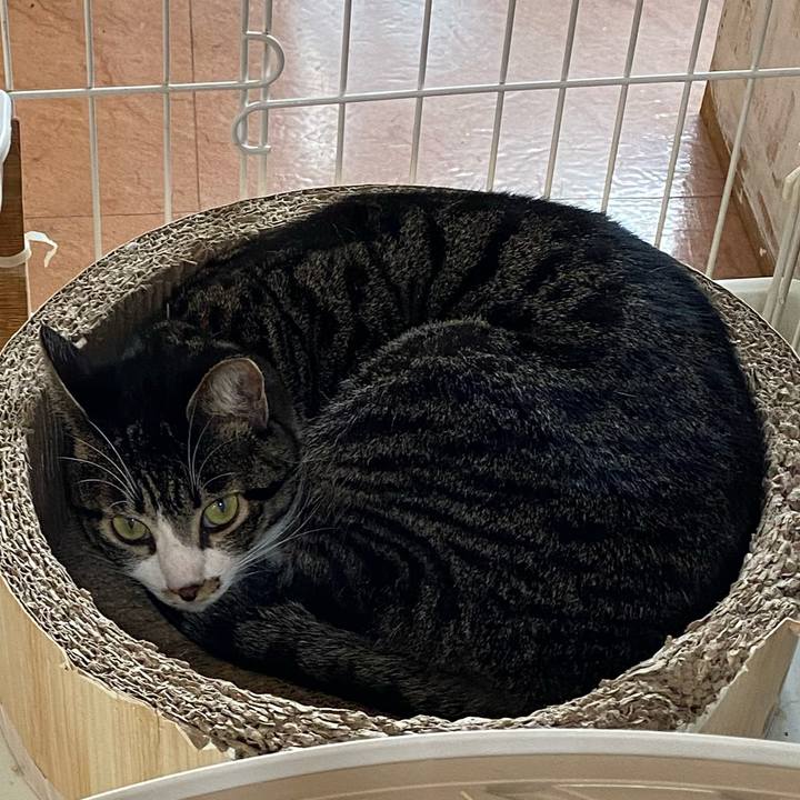 F6c515cf 7dcc 47f7 bf8e f551cac8d5b8 1730542011735