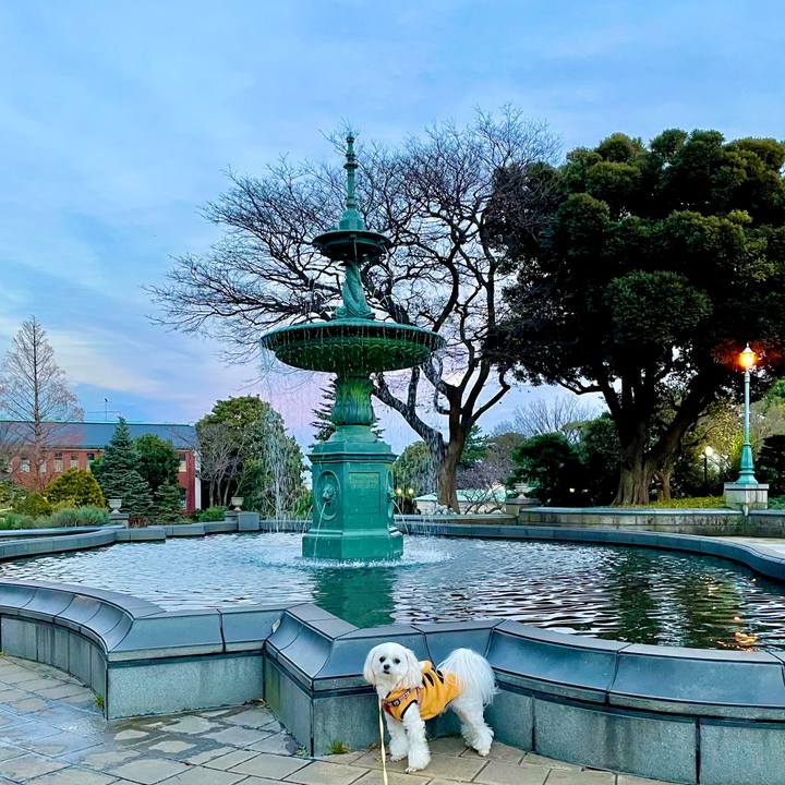 F6c532a4 1ce0 4164 8d3b f5feaee3947a 1642129770774