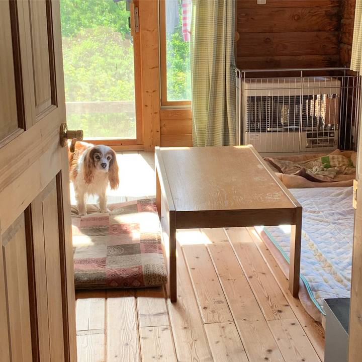 F6c55c67 54ac 4884 ac59 d79cbb97f8bc 1620599810038