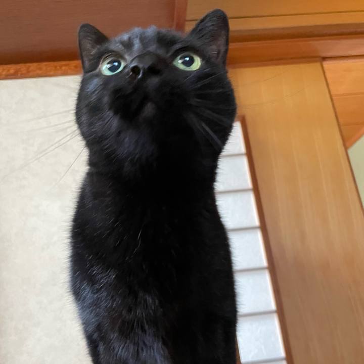 F6c56523 ad6b 4689 9d75 89181b6cb681 1634867915571