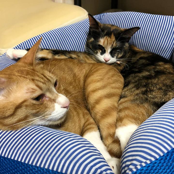 F6c5a66b 79fd 4760 8340 10e9a81d583c 1565859680892