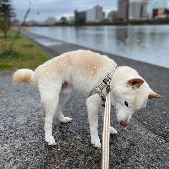 F6c5d339 6d97 4106 a3be b5372e3ec80e 1647614778928