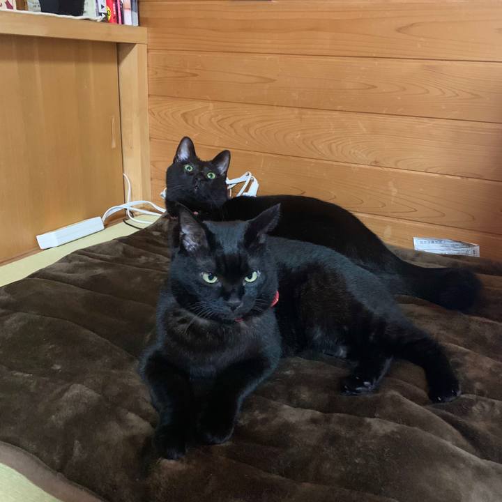 F6c5e7a0 3723 42e3 968e 6a2937159b89 1571293527487