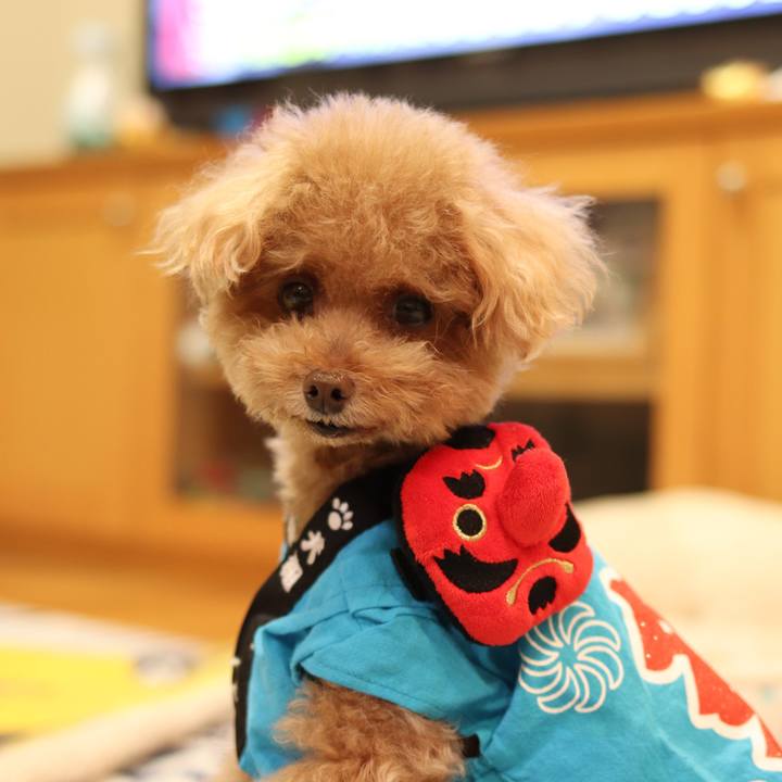 F6c5f90c e72f 48e6 a86a f005f73ab22a 1563886176031