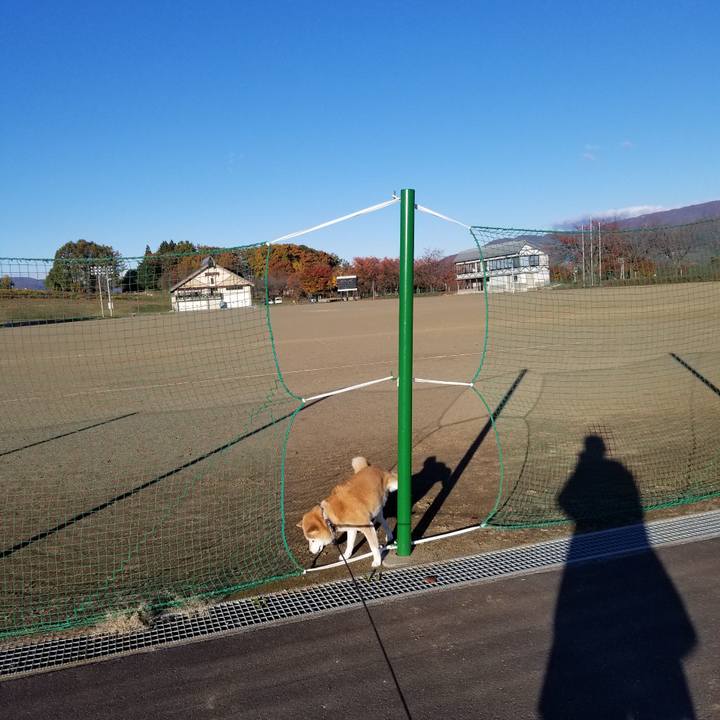 F6c662ca e1a5 4abe 8c28 00c842a83720 1667716289000