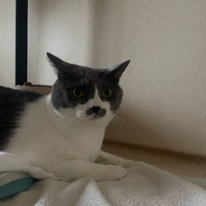 F6c66738 0ff6 4793 bfd6 ece063c2c8d6 1725085615984