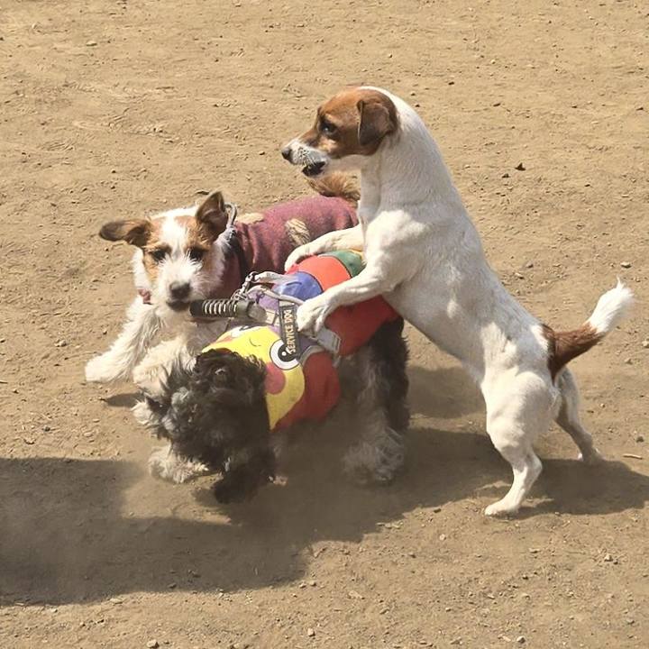 F6c673a2 5b05 4670 ae81 2bbe74c68587 1774189830224