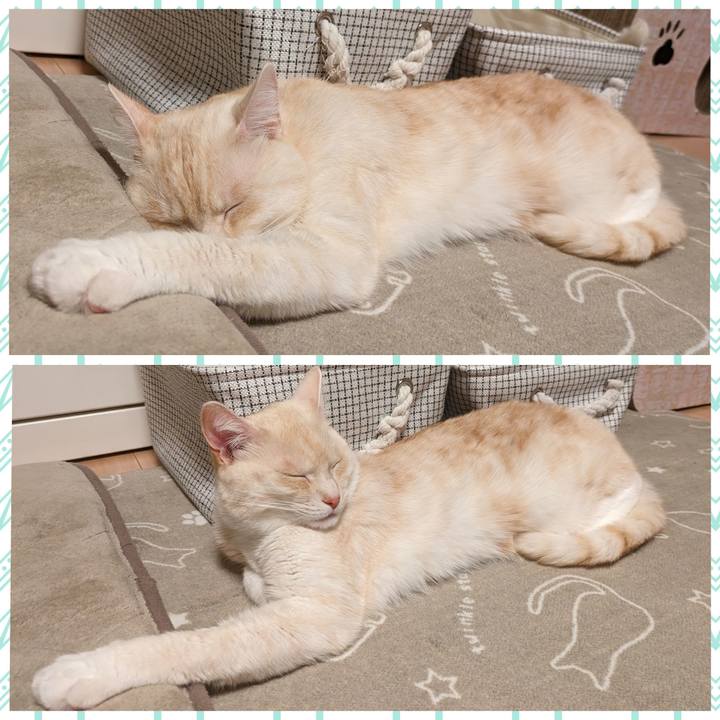 F6c67418 72c5 418f af47 66cc7b81c42a 1701257666785