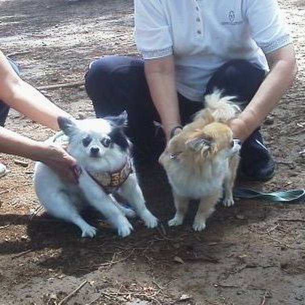 F6c68726 9620 4857 81c7 45eb1084fa22 1528555962790