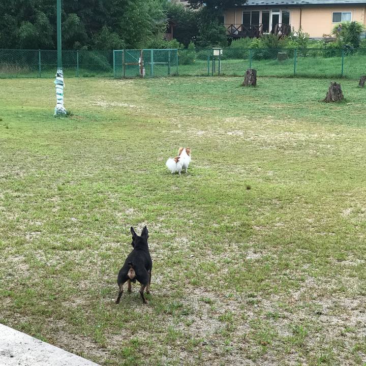 F6c6d3d6 fdae 46f0 a9b6 036227fdcb14 1566304035353