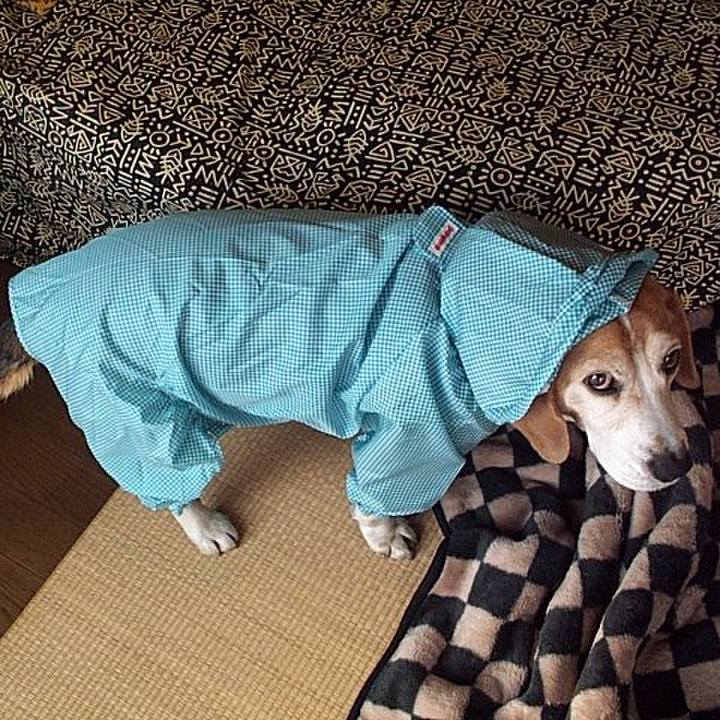 F6c7067c 8b1d 44ba 899b 44288ce4459f 1637889057435