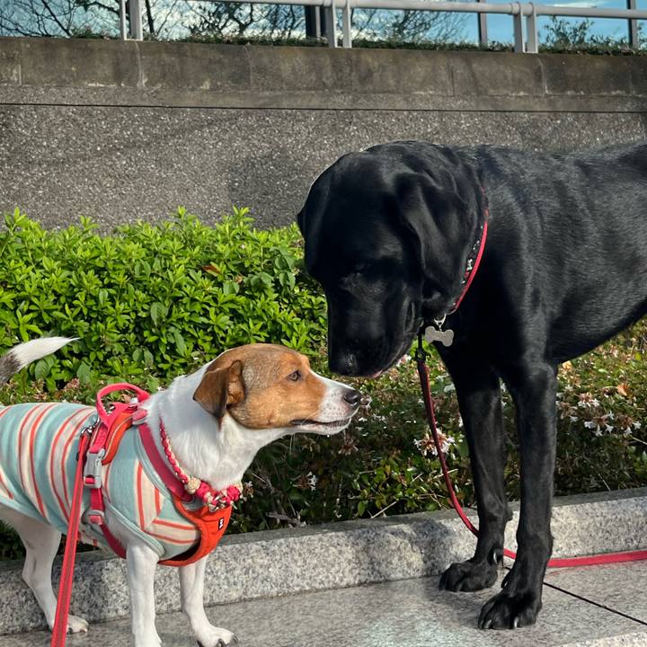 F6c70b5c a4cc 4d88 b7c3 ce38662ac44a 1760872615053